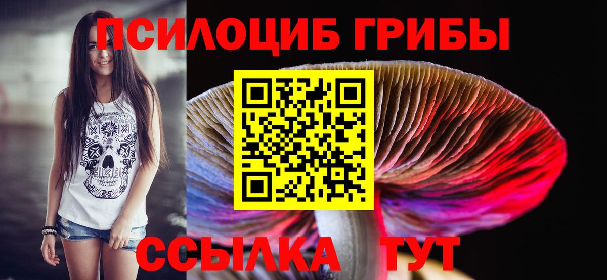 Лесной  Галлюциногенные грибы мицелий  Вход с VPN 