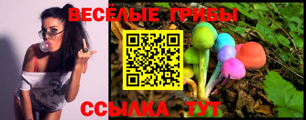 Псилоцибиновые грибы Cubensis Лесной