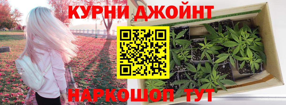 Лесной  Каннабис конопля  Марихуана гибрид  Бошки Шишки Ganja  Вход с VPN 
